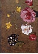 unknow artist Floral, beautiful classical still life of flowers.032 USA oil painting artist